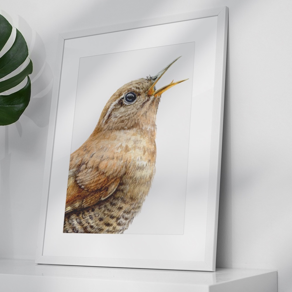 Watercolor Wall Art Wren Bird Illustration Print Poster Unframed - Picture 4 of 9